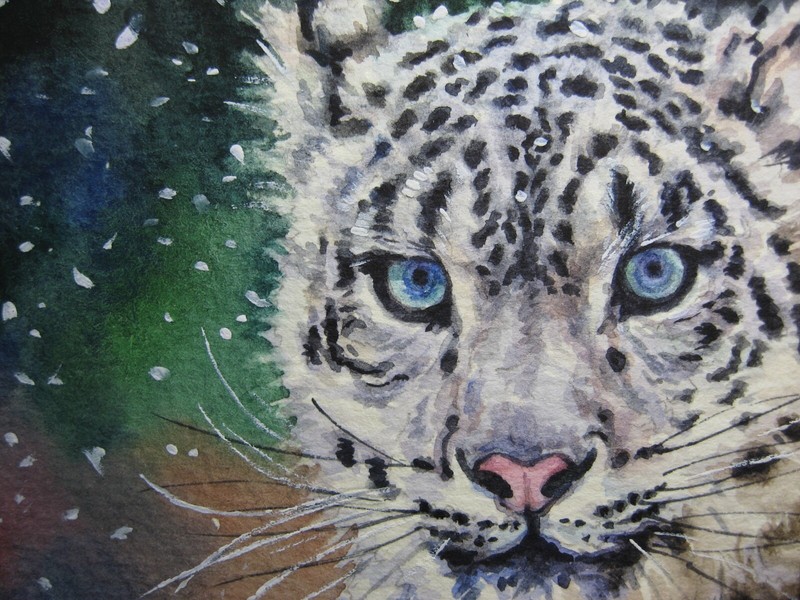 Watercolor Painting Snow Panther Face Nature Animals ACEO Art