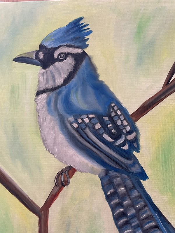 Original oil painting 11 x 14 inches gorgeous colorful blue jay bird gallery