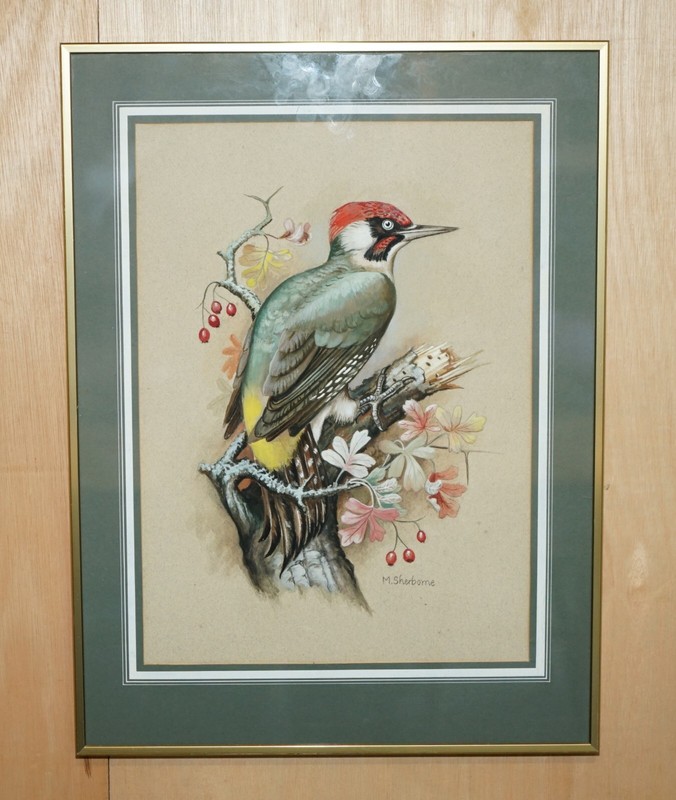 VINTAGE M SHERMORNE SIGNED ORNITHOLOGY WATERCOLOUR PAINTING OF A KINGFISHER BIRD gallery
