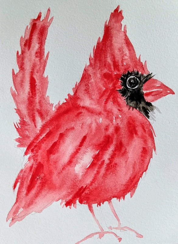 Bird art,original Watercolor painting red Christmas cardinal bird unique gift gallery