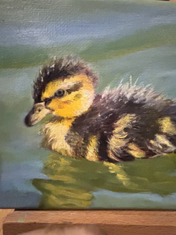 Art Original oil on Stretched Canvas, Duckling gallery