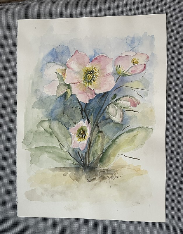 Austrian Rosa Friedrich Schnee Aeppli Rosen Watercolor Signed Still Life