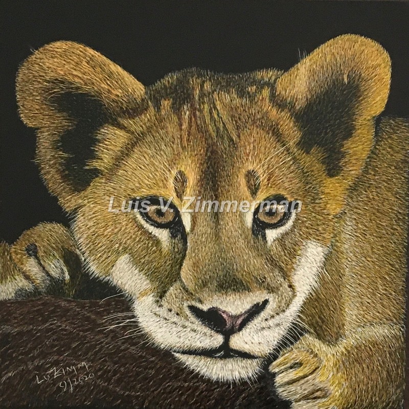 Ampersand Pro Board Original 6″x6″x1/4″ Lion’s Cub Face Signed