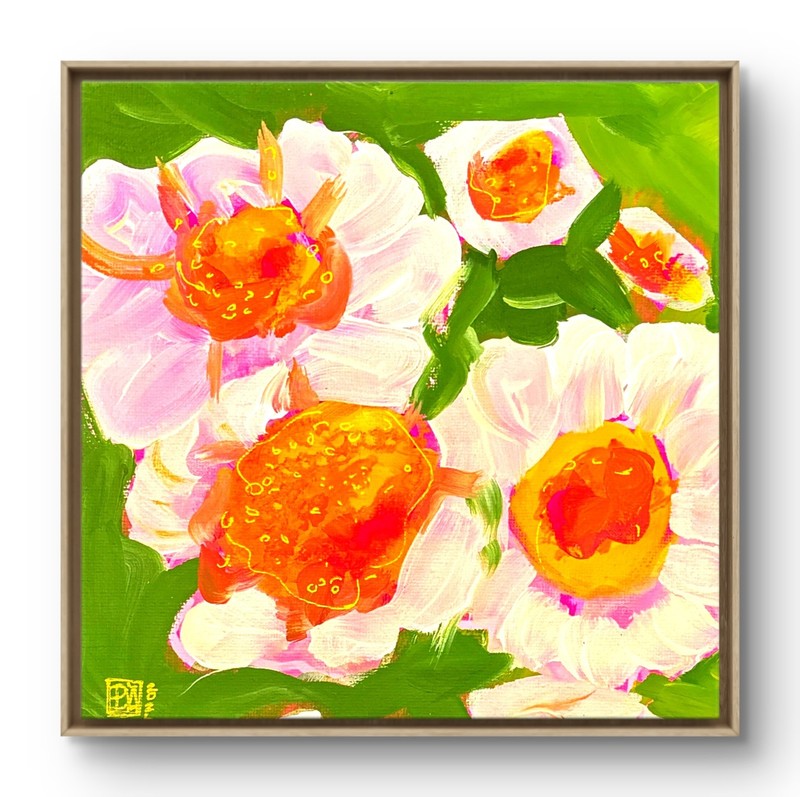 Zinnia whimsy Original Painting 20x20cm Canvas Tasmanian Art Bruny Island