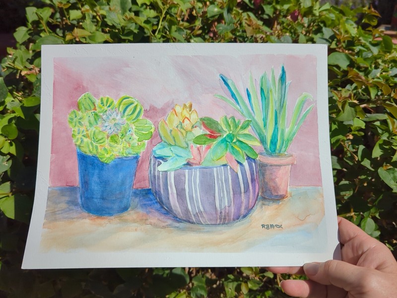 Potted Succulents - Original Watercolor Painting~ RAMfish Artist