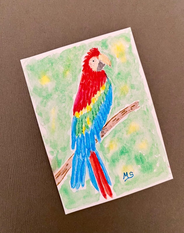 Parrot ACEO Painting Colorful Macaw Print Bird Animals Nature ATC Art gallery