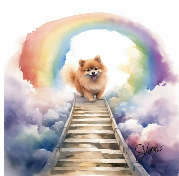 Watercolor Pomeranian Pet Memorial Gift Painting Art Print INCLUDES 11X14 MAT