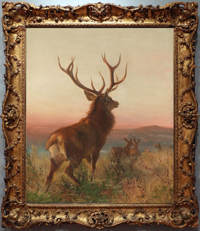 Hand Painted Oil Painting Deer Sunset Wilderness Classical Portrait Animal Art