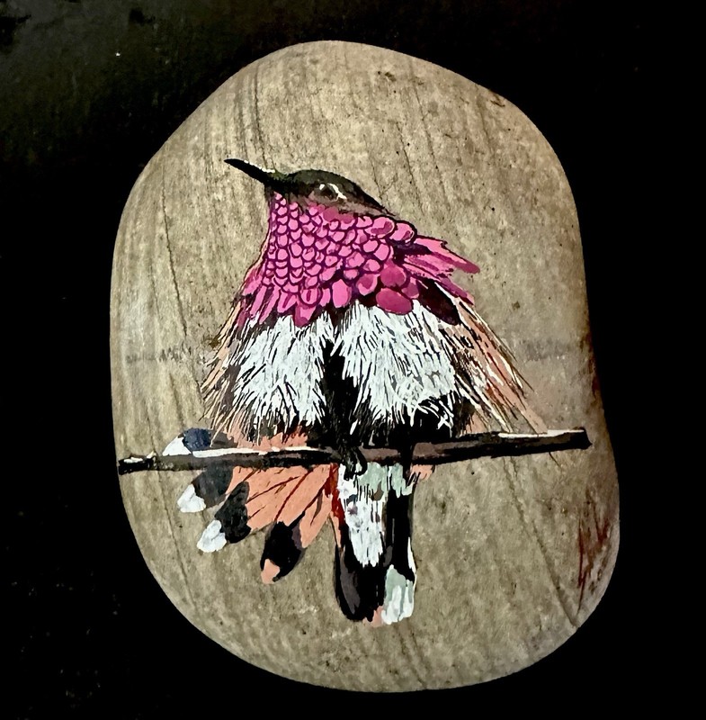 Hummingbird Art in Acrylic ! Hand Painted On a “rock” 5x4x3 1/2 gallery
