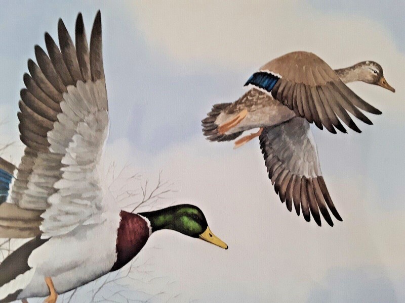 MARJORIE OLSON (1934-2018), Original Watercolor, Pair Mallards in Flight gallery