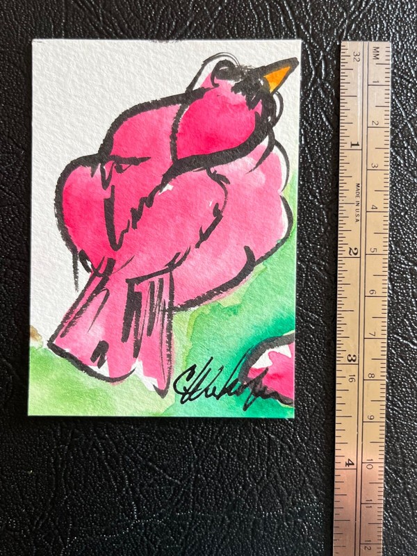 ACEO Original Watercolor Painting, Crazy Cardinal II C22