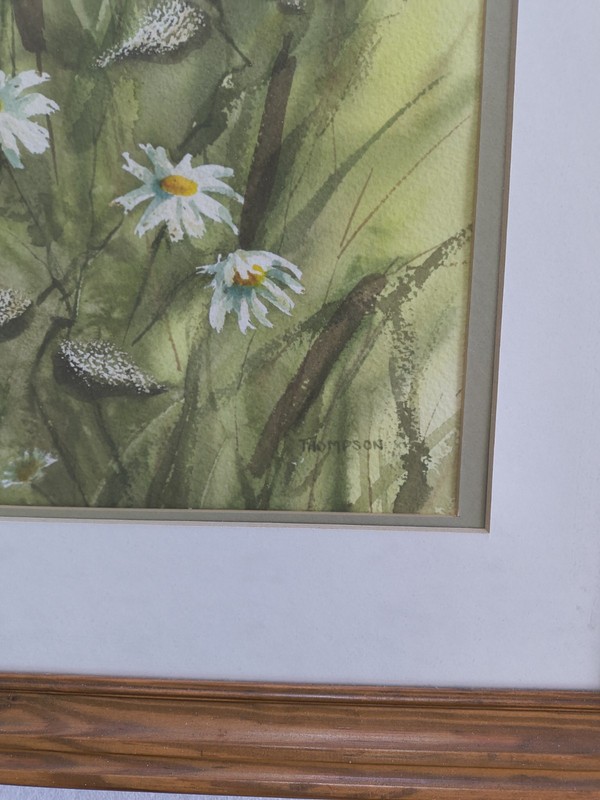 Original Watercolor Daisy Wildflowers Signed Thompson Framed Matted gallery
