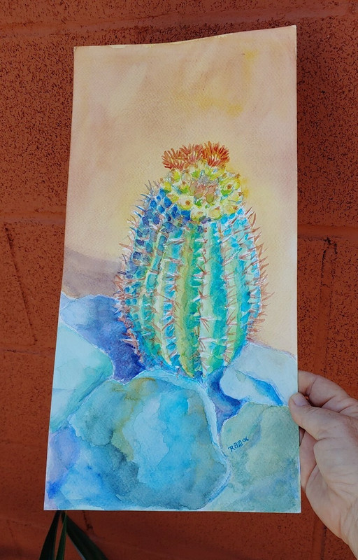 Blooming Barrel Cactus Original Watercolor Painting RAMfish Artist 8″ X 15″