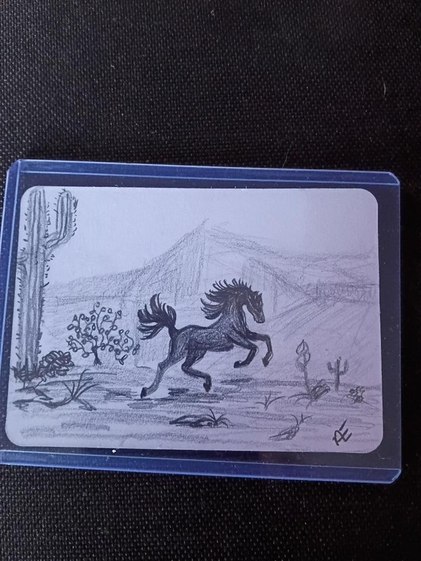 Original art work by new artist. One of a kind pencil drawing .