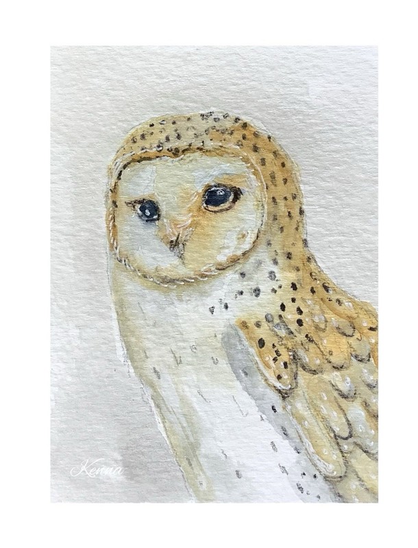 Aceo By Kenna Painting Barn owl 2.5” X 3.5” Signed Original