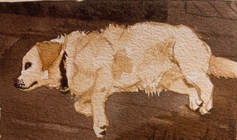 Original watercolor painting cute White Terrier Dog Sleeping pet portrait small