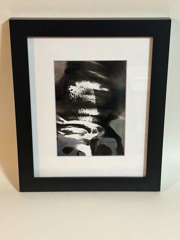 Tonito Original Chemigram painting.Organic abstract.Framed.Unique art.ab5