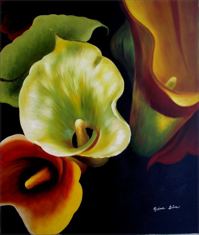 Quality Hand Painted Oil Painting Colorful Calla Lilies, Beautiful! 20x24in