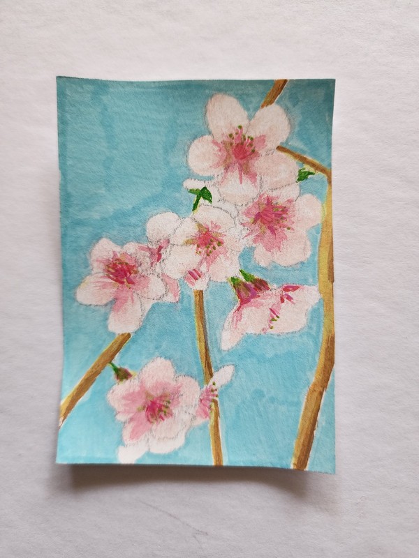 ACEO Original Abstract Acrylic Painting Branch of Cherry Blossom Flowers by Kiva