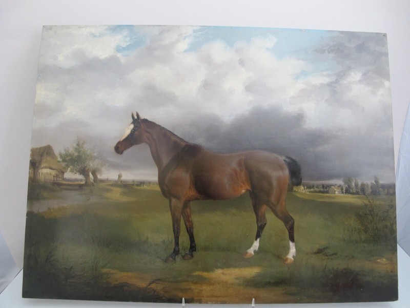 WILLIAM Joseph SHAYER Antique English HORSE Portrait Oil Painting on Panel