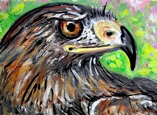 ORIGINAL ACEO Painting Red Tail HAWK Spring BIRD Nature Tree Predator ATC ART