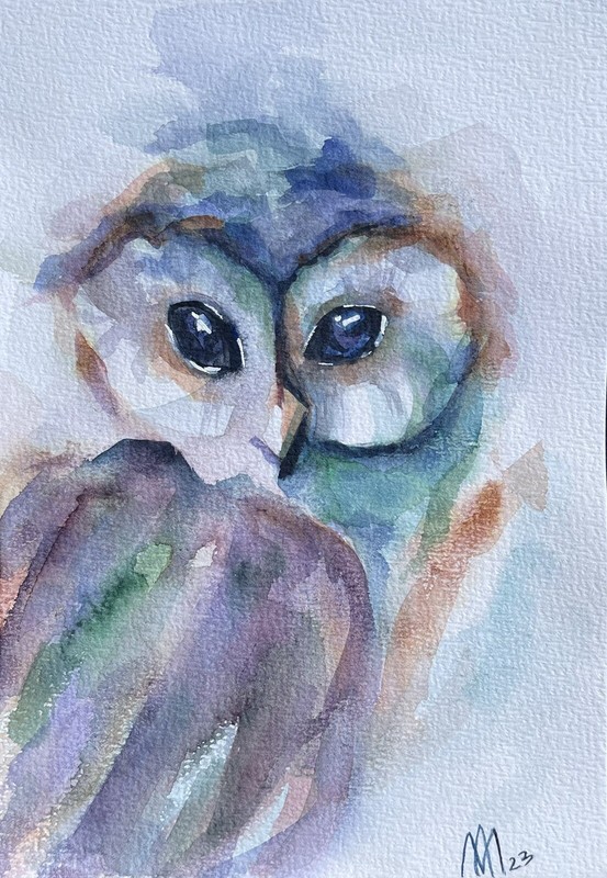 “Watercolour Owl” Original Work Of Ukrainian Artist Watercolour