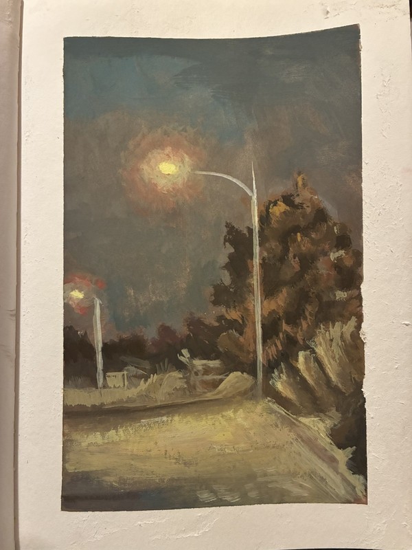 Nocturnal In Santa Fe, NM Gouache Color On Paper 9x12 Inches Original Signed