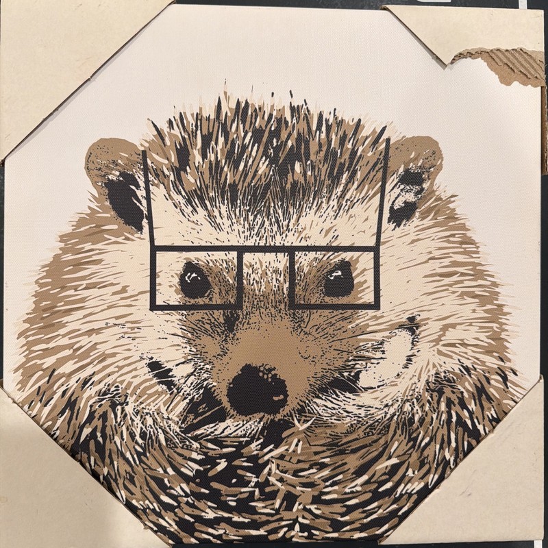 Printed Painting Of Cute Hedgehog 12”x12”
