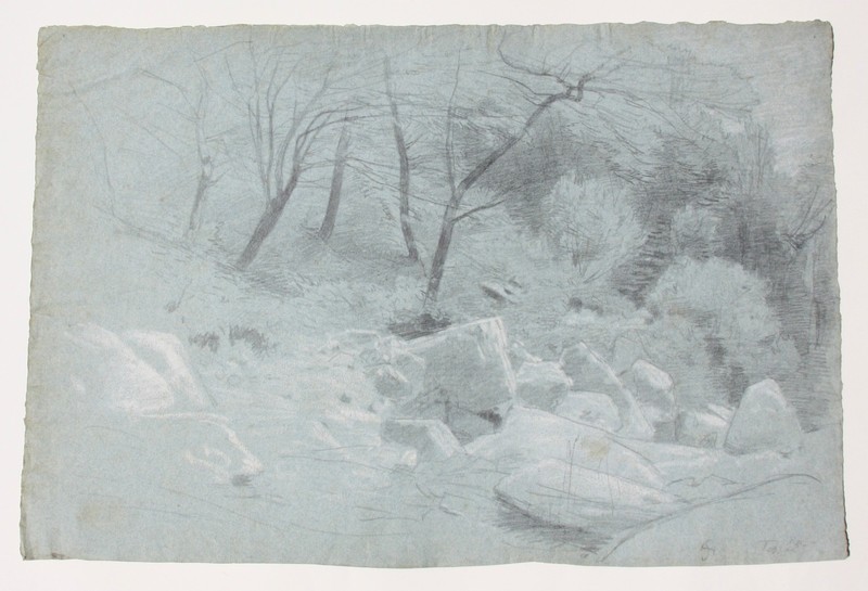 Hans Sandreuter (1850-1901) Monogrammed Drawing, Nature Study «Ticino», 1885