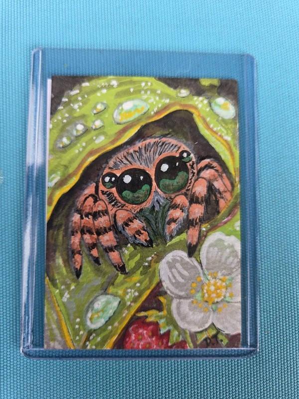 ACEO Original jumping spider mini Painting OOAK 2.5×3.5