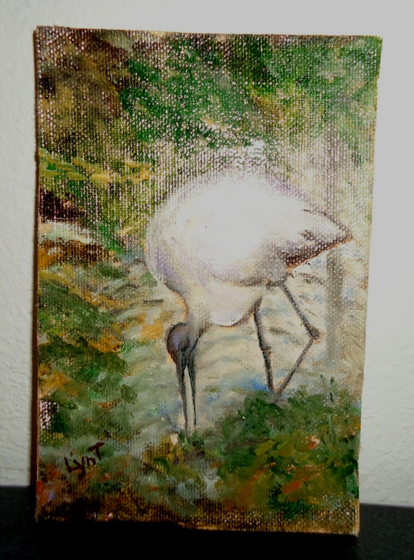 Lyn Treffinger 2020s Bonita Spring Florida Heron Bird Size-6×4 in