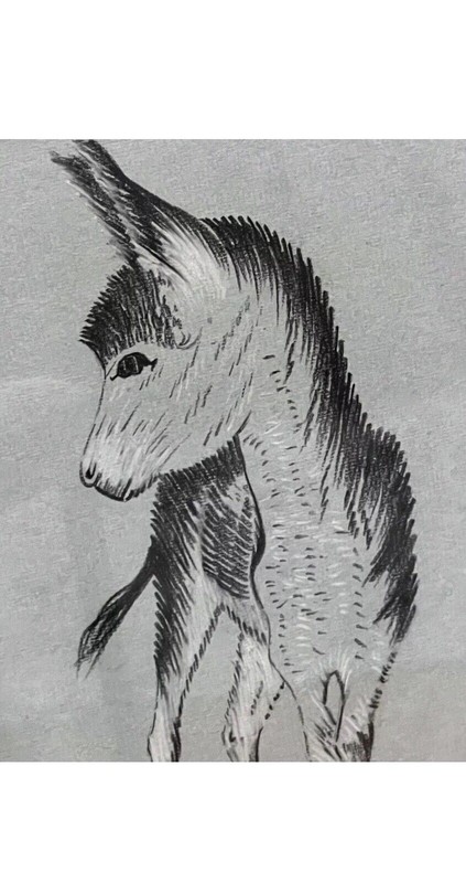 Original Artwork of Donkey by Kuri – Framed gallery