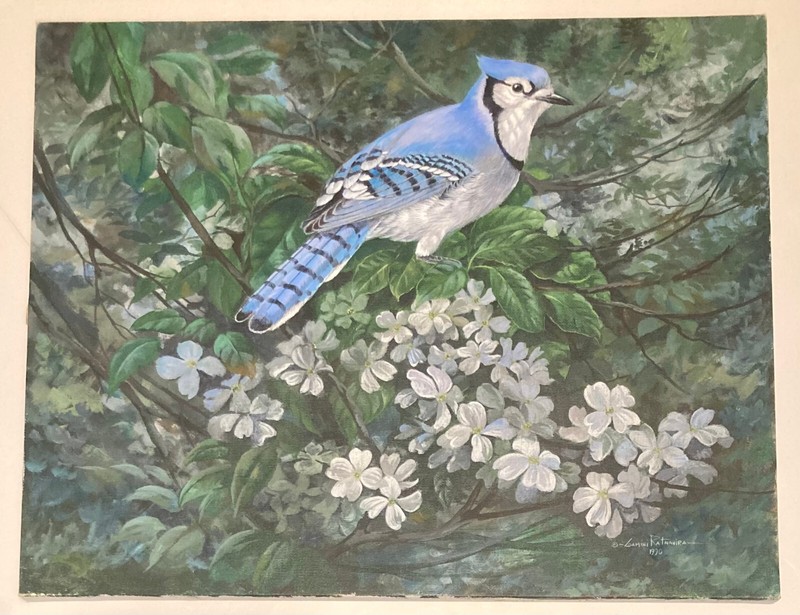 Gamini Ratnavira Original Painting «Cyanocitta/Blue Jay» 1990 20″X16″ Bird Art