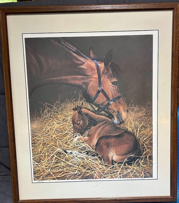Judi Kent Pyrah Framed Ltd Ed Signed # Print of Mare & Foal 1990 «My Treasure»