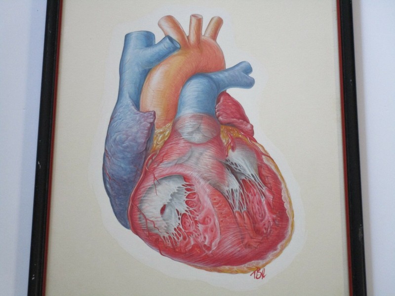 TED BLOODHART PAINTING POP ART HUMAN SCIENCE MEDICAL SURGICAL REALISM HEART OLD gallery