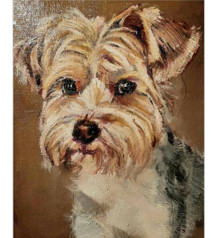 Custom Portrait Original Oil Painting Maltese Dog Dogs Puppy Pet Canine Animals