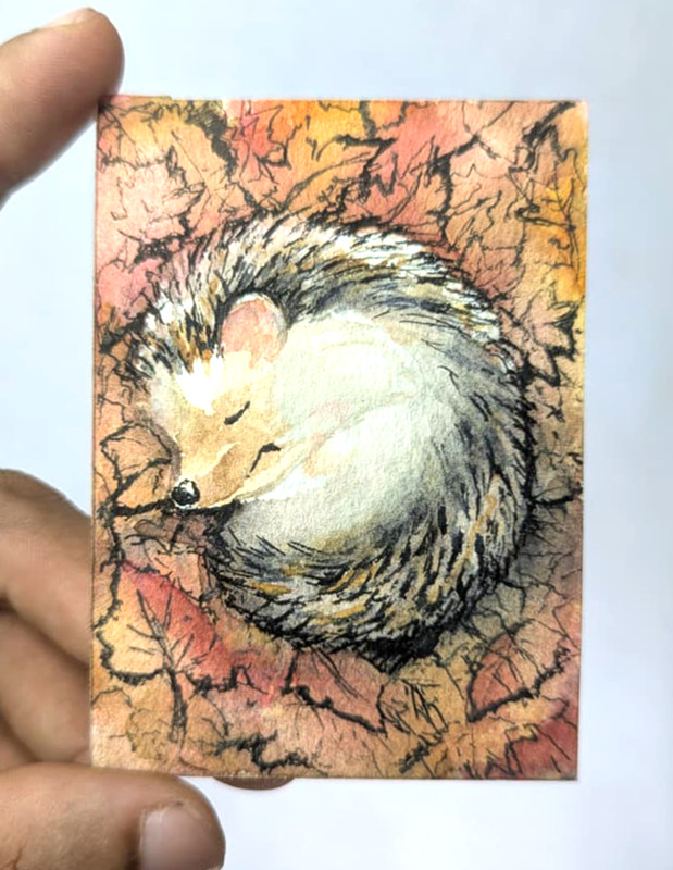 ACEO Original Watercolor OOAK Hedgehog Sleeping Autumn Fall Leaves Miniature Art