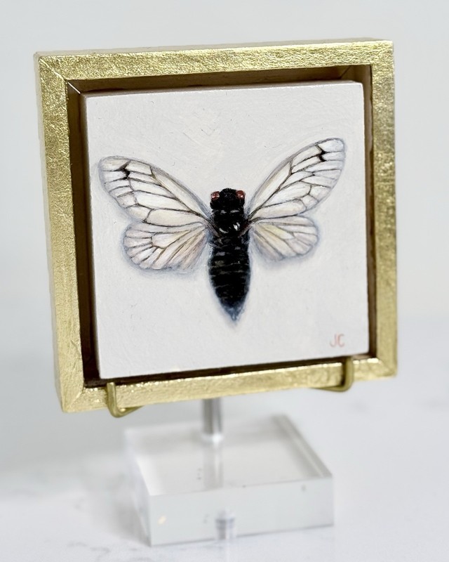 Original Cicada Miniature Oil Painting Framed Nature Animals Art
