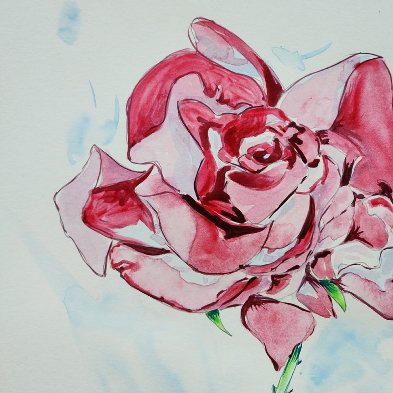 Sunshine Rose gallery