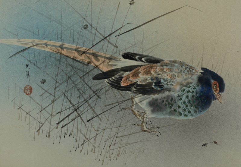 Chinese or Japanese Painting Pheasant on Silk Signed Antique