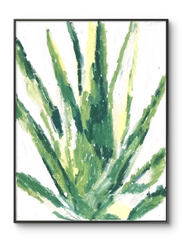 Contemporary Pop Bold Aloe Vera Botanical Plant Original Wall Art 11×14 Canvas