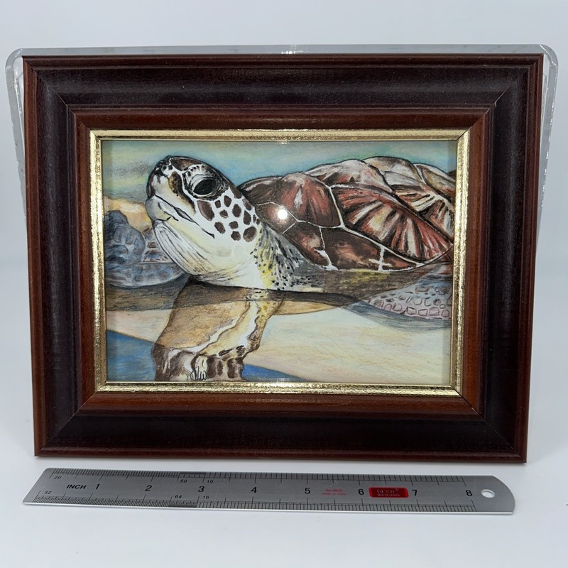 Original Watercolor Pencil Sea Turtle 5x7 Art Framed to 8x10 Signed gallery