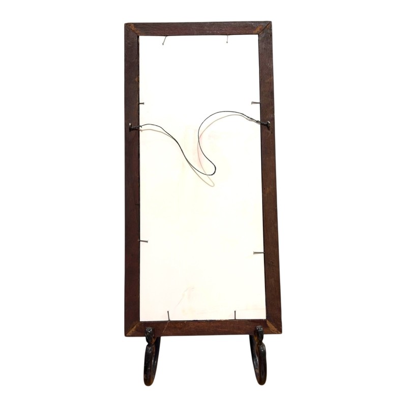 Framed Feather Peacock Art Dopamine Floral Accents Rustic Wooden Frame 14" x 7" gallery