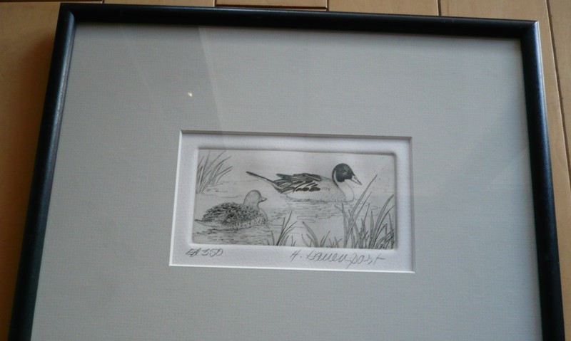 VINTAGE ETCHING PRINT, H. DAVENPORT, DUCK DUCKS IN POND SIGNED PRINT REALISM gallery