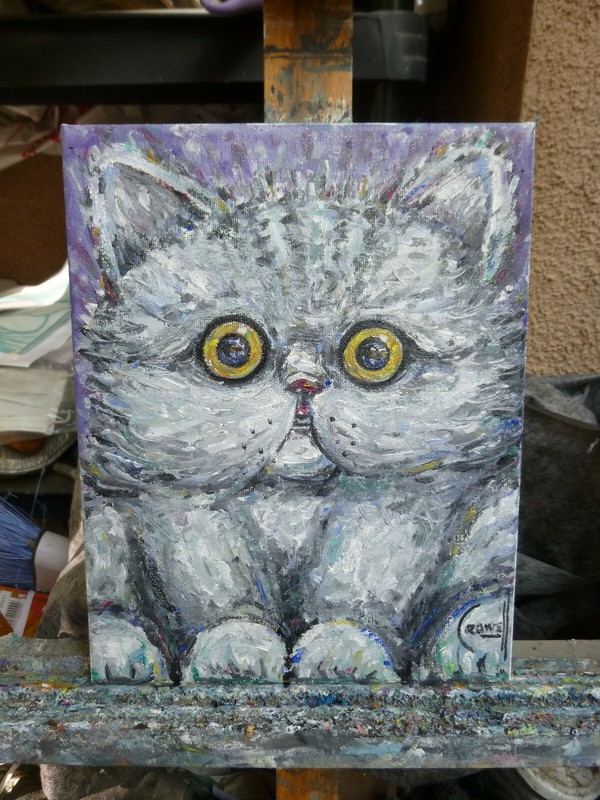 PUFFY THE CAT new WOW original pet eyes 8x10 canvas oil painting signed Crowell gallery