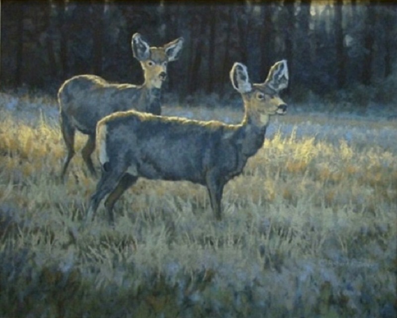 Early Morning R.K. Jolley original oil painting wildlife Mule Deer animal art