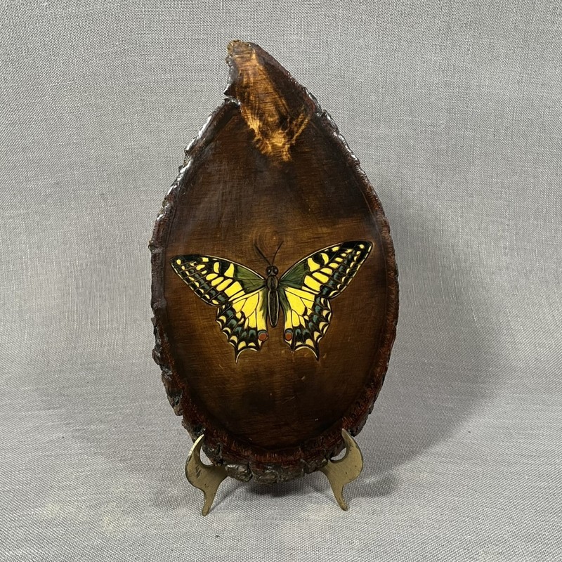 Hand Painted Butterfly on Wood Cut-Out Live Edge Wood Plaque