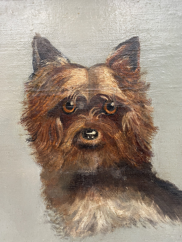 Antique Oil on Canvas - Portrait Dog Yorkshire Terrier gallery