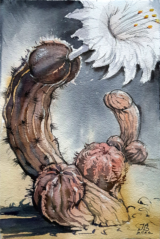 Art Gay Erotic Watercolor «Cocktus» ( flower, humor ) 11,6-7,9 in.I.Bubentcov