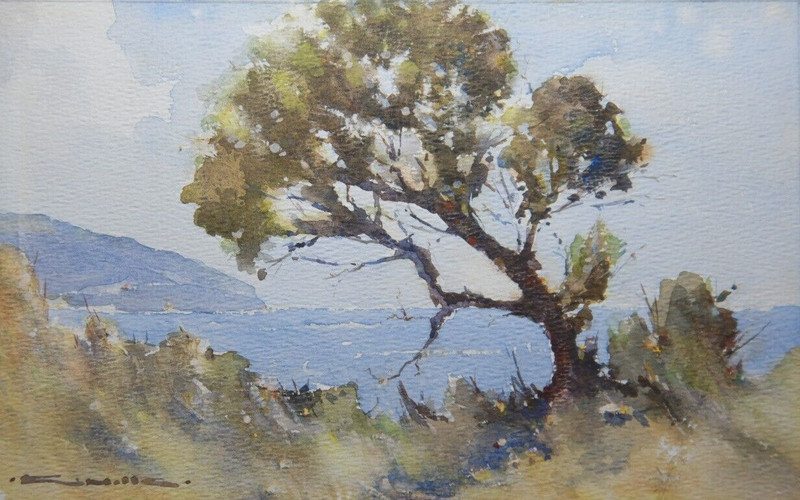 AUSTRALIAN WATERCOLOUR ON PAPER LAND SEASCAPE BY F MILLS P369